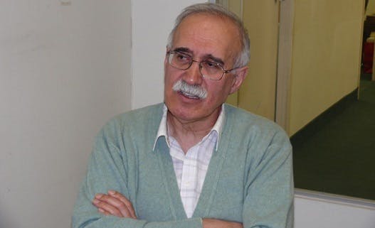 محمدرضا شالگونی، فعال و تحلیل‌گر سیاسی