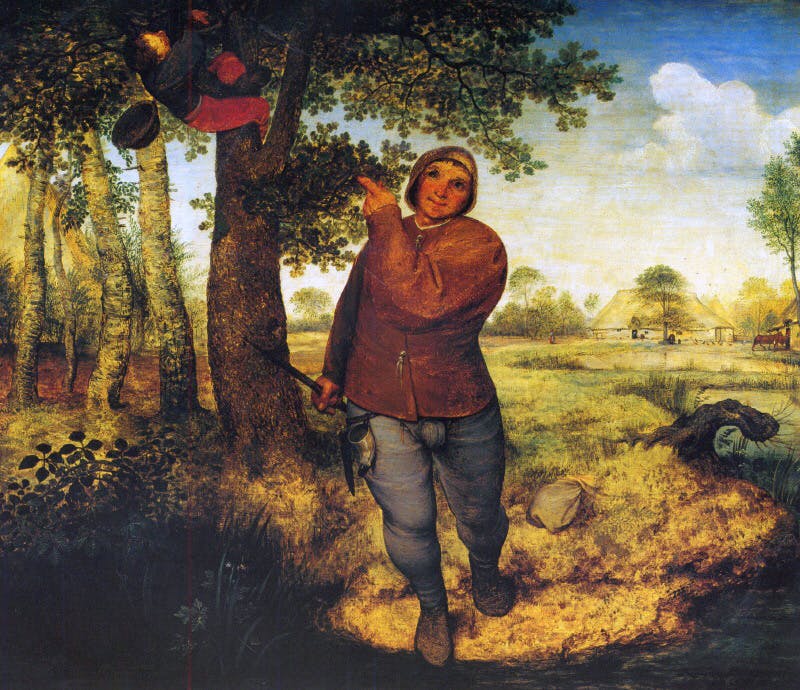دزد پرنده‌ها، اثر پیتر بروخل، نقاش هلندی قرن شانزده (Pieter Bruegel d. Ae. 1525-1569)