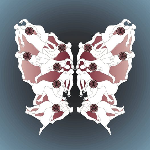 پروانه یکم آذر، اثر پرستو پروهر