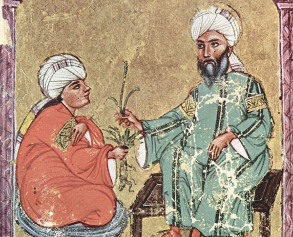 تصویری از ترجمه عربی کتاب گیاه‌شناسی دیوسکوریدس در سده‌های میانه