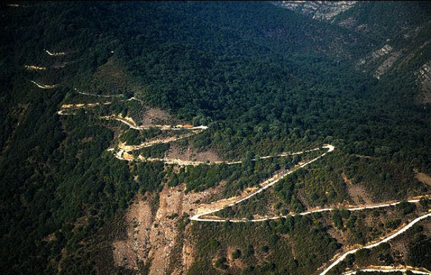 تخریب جنگل‌های هیرکانی (عکس: ابوطالب نادری، خبرگزاری مهر)