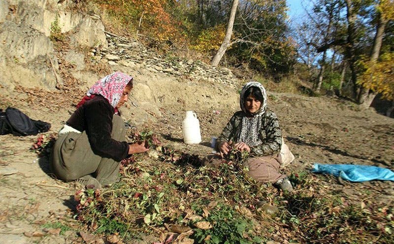 زنان روستایی، بیساران، از توابع بخش مرکزی شهرستان سروآباد کردستان