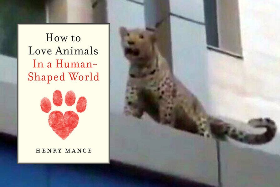 Henry Mance: How to Love Animals in a Human-Shaped World, London 2021