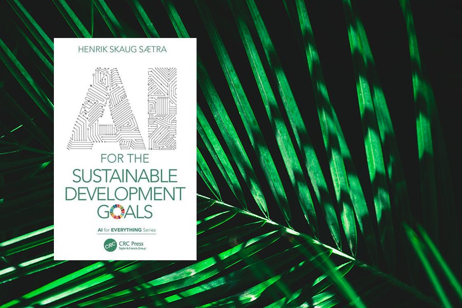 Henrik Skaug Sætra: AI for the Sustainable Development Goals. London: Routledge 2022