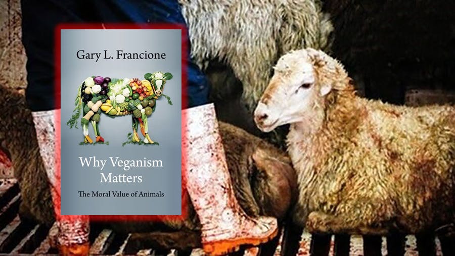 Gary L. Francione: Why Veganism Matters. The Moral Value of Animals. Columbia University Press 2021