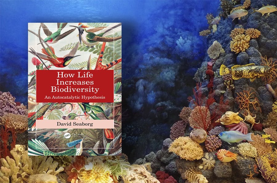 David Seaborg: How Life Increases Biodiversity. An Autocatalytic Hypothesis. Routledge 2022