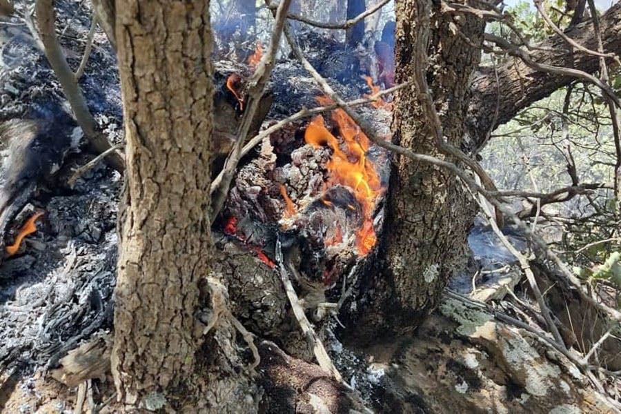 آتش‌سوزی در جنگل‌های مریوان، مرداد ۱۴۰۱