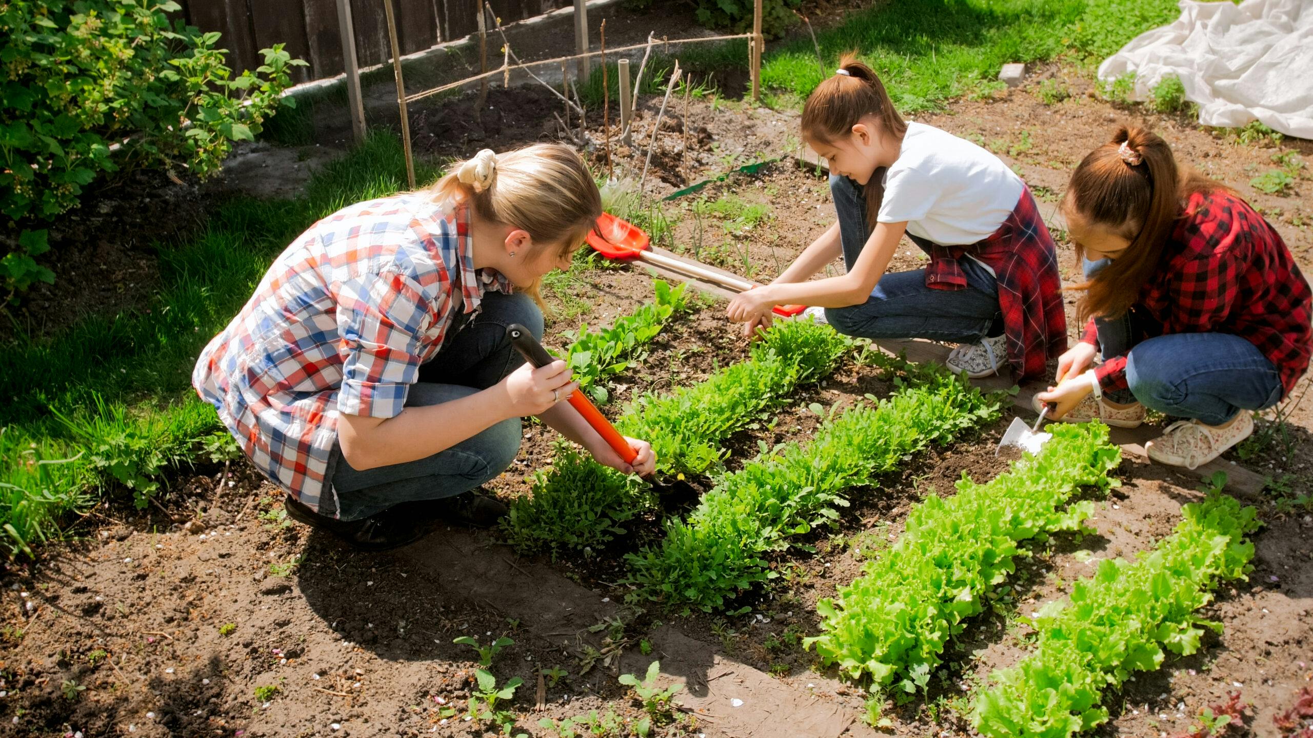 دو نوجوان با مادرشان در حیاط خانه شان گیاه می کارند
