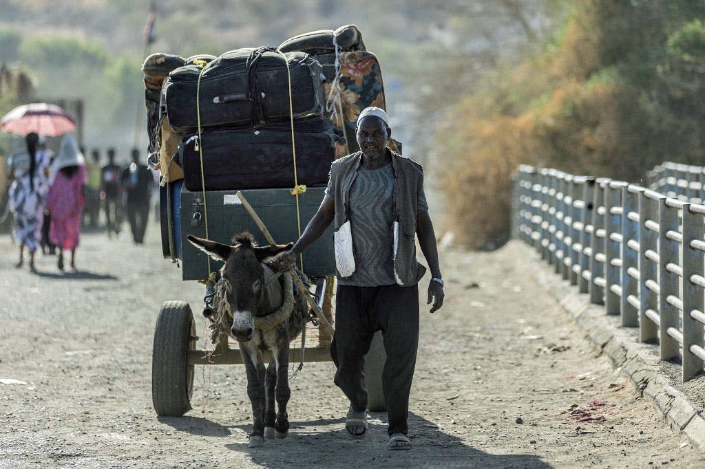 در تصویر یک مرد سودانی دیده می‌شود که چمدان‌های خود را بار گاری کرده و یک الاغ فرتوت آن را می‌کشد. در پسزمینه تصویر نیز چند نفر در حال گذر دیده می‌شوند.