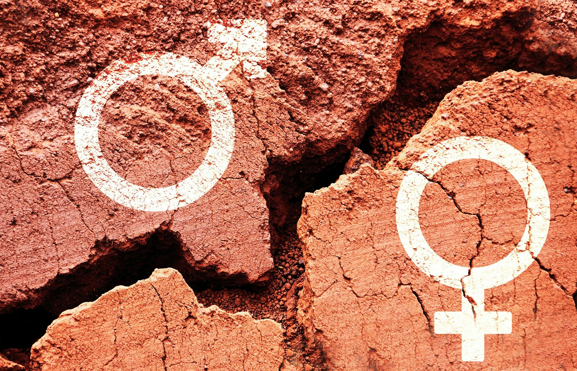 تصویری نمادین از شکاف جنسیتی ــ عکس: شاتراستاک