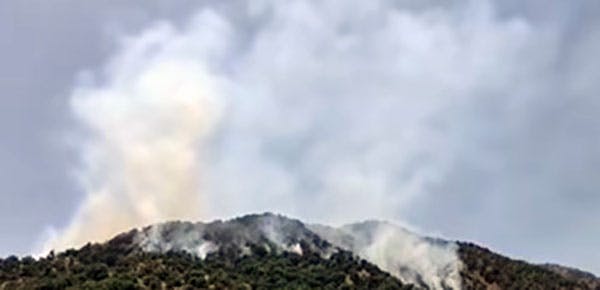 آتش‌سوزی جنگل‌های منطقه ساوا: مریوان؛ مرداد ۱۴۰۲