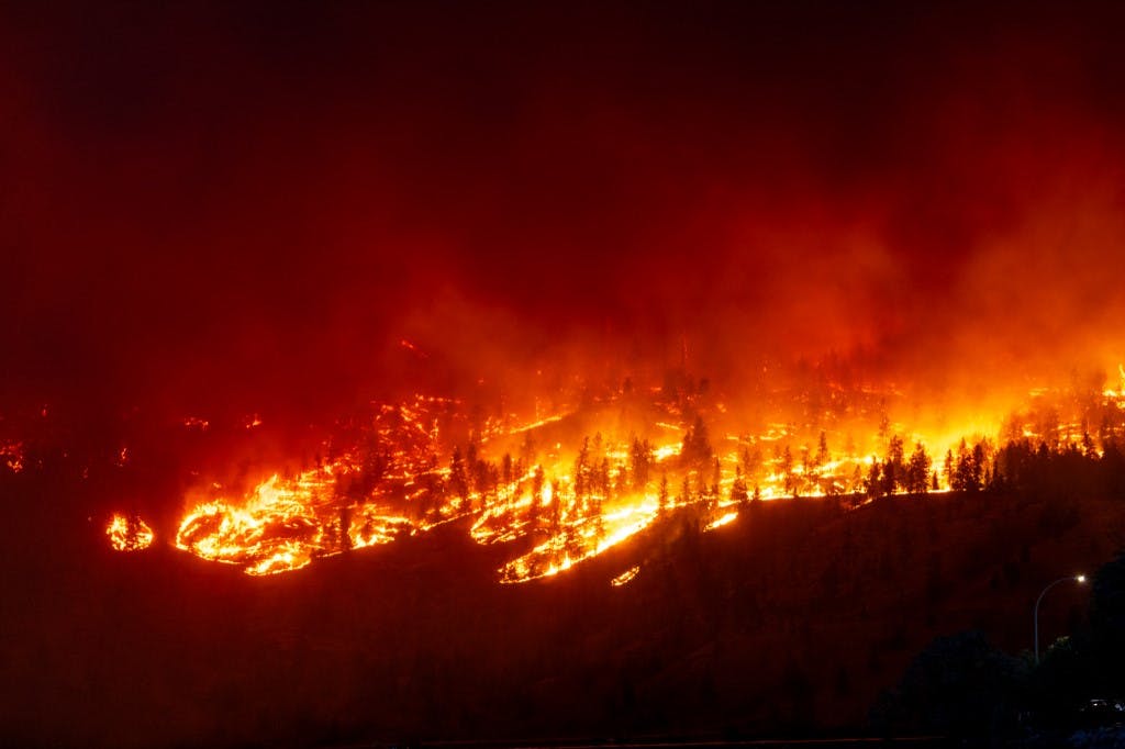 آتش‌سوزی نهر مک‌دوگال در تپه‌های کلونای غربی، بریتیش کلمبیا، کانادا اوت ۲۰۲۳(عکس از دارن هال / خبرگزاری فرانسه)