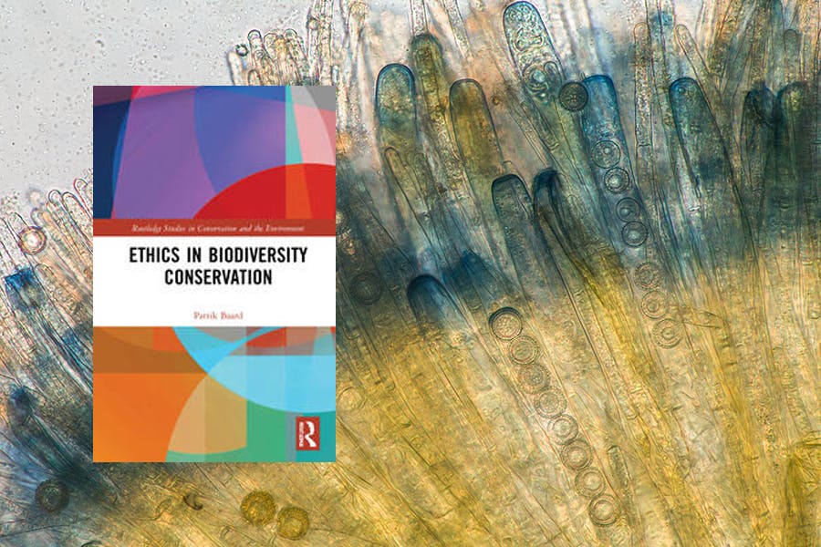 Patrik Baard: Ethics in Biodiversity Conservation. Routledge 2022