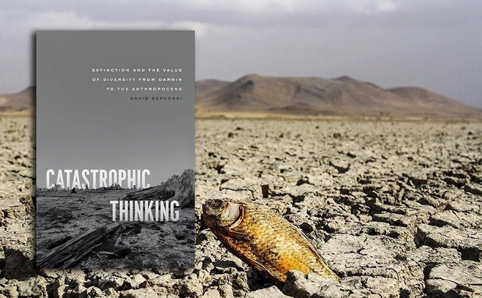 David Sepkoski: Catastrophic Thinking. Extinction and the Value of Diversity from Darwin to the Anthropocene. Chicago UP 2020