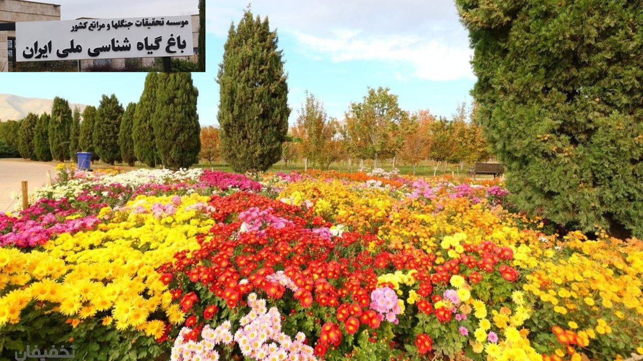 نمایی از باغ گیاه شناسی ملی ایران