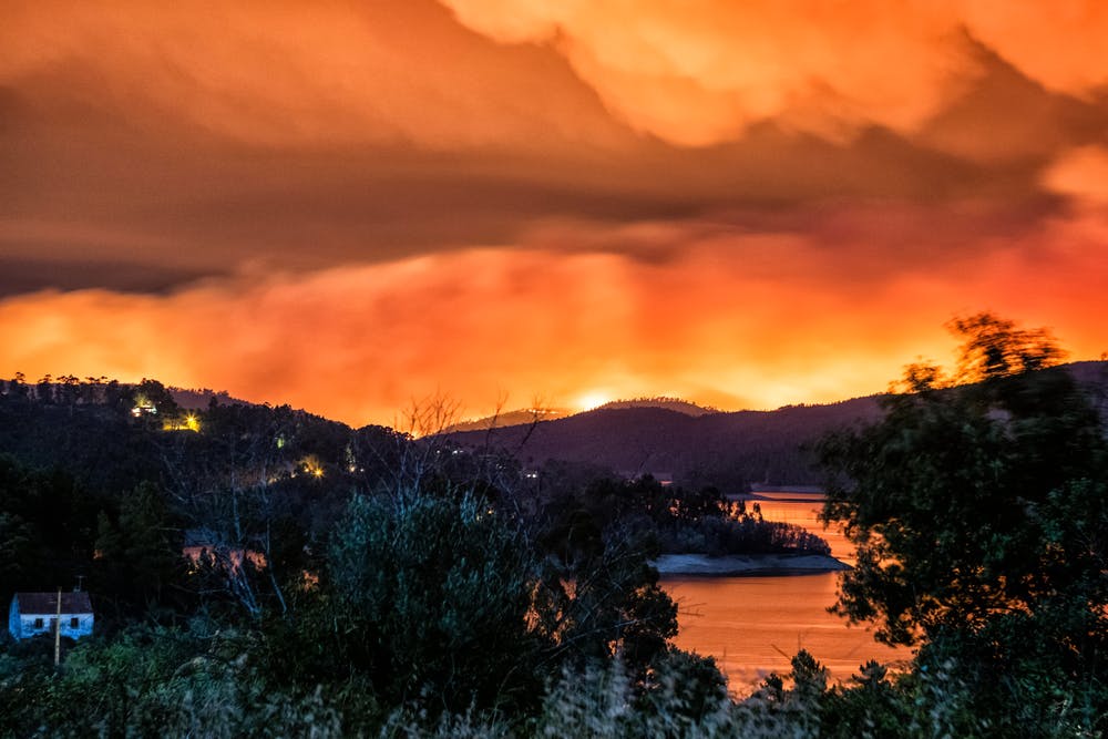 نمایی از آتش سوزی در جنگل ها در پرتغال