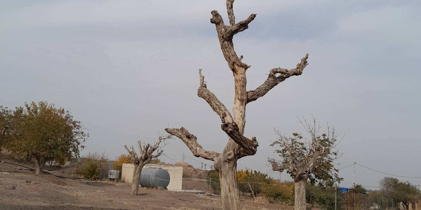در گذر از روستایی از توابع اشتهارد در استان البرز