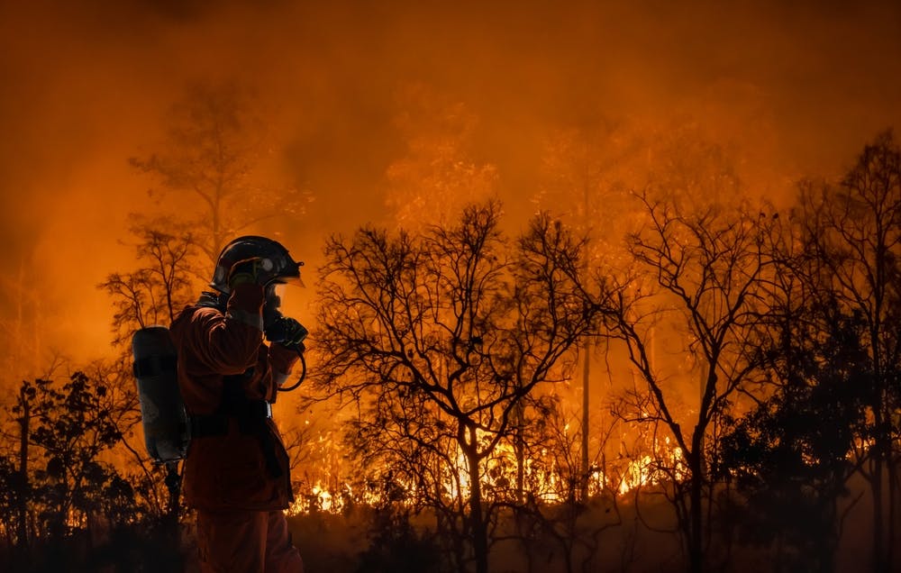 پس‌زمینه جنگلی که در حال سوختن است، و جلوی تصویر سایه یک آتشنشان