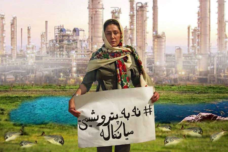 تصویری از هدیه تهرانی در حمایت از میانکاله