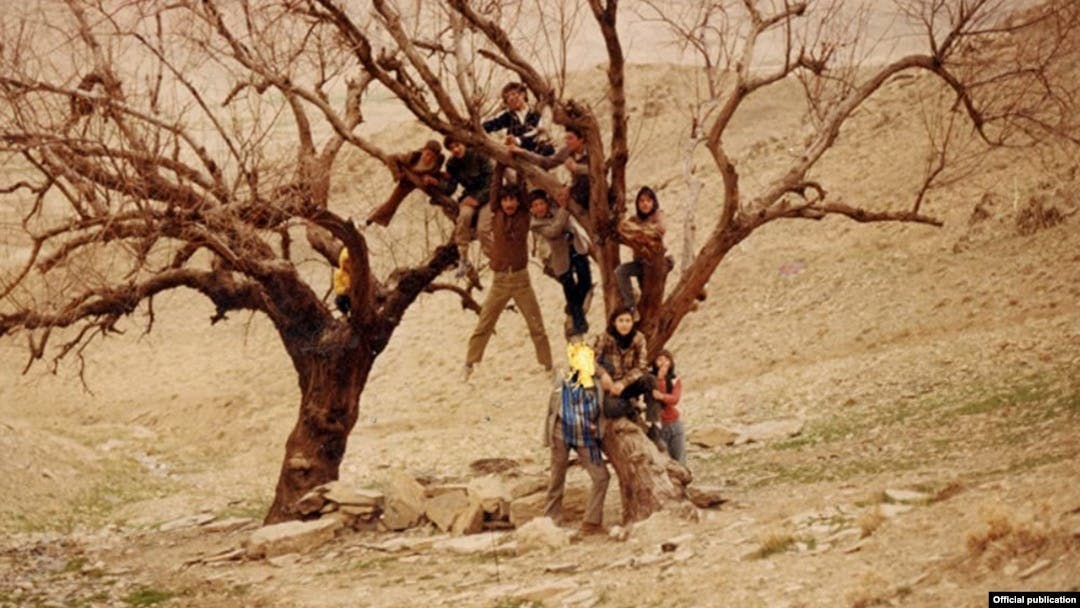 کودکانی بالای یک درخت و یک مرد که چهره او خط خورده است