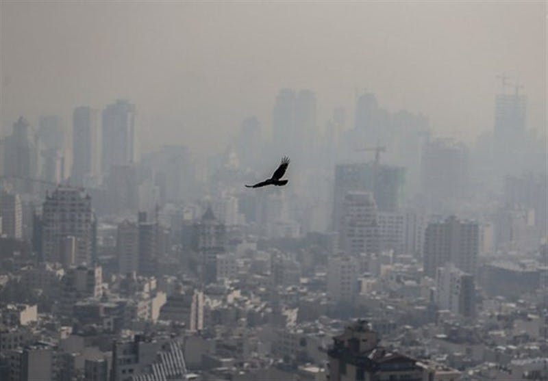 تصویری از هوای آلوده تهران و پرنده ای که در هواست