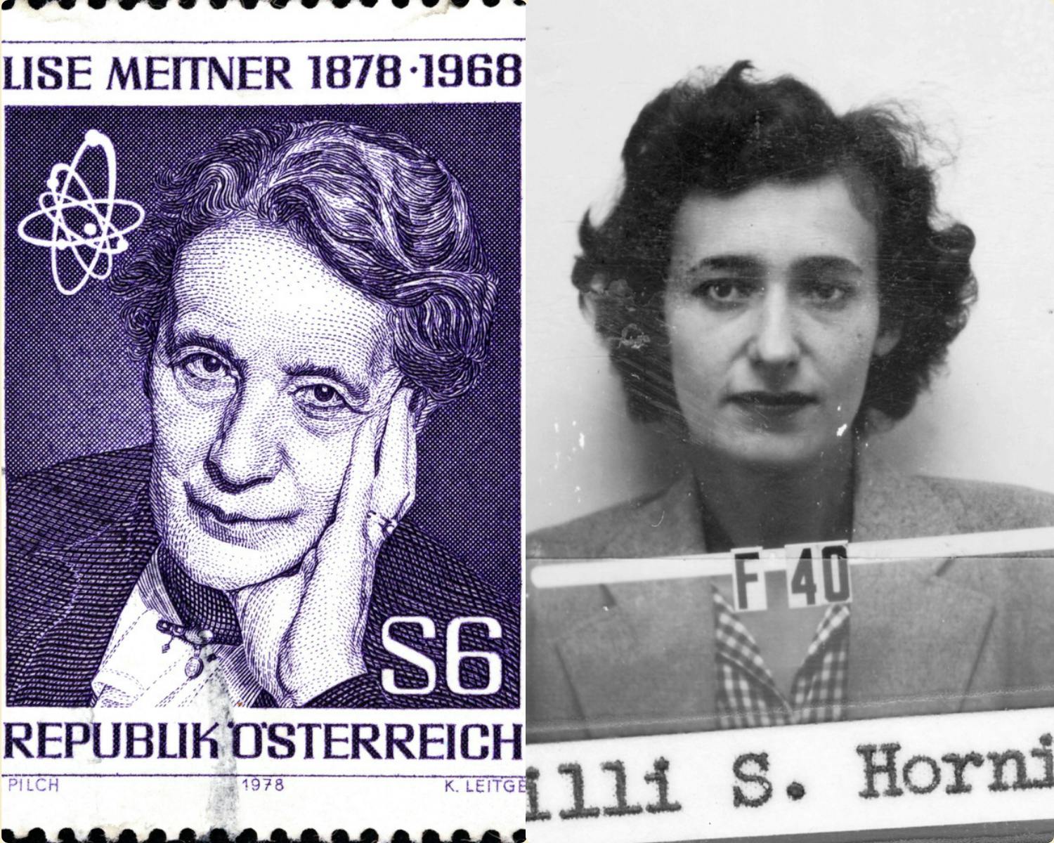 تصویر ترکیبی از لیلی هورینگ (سمت راست) و لیز میتنر (سمت چپ)