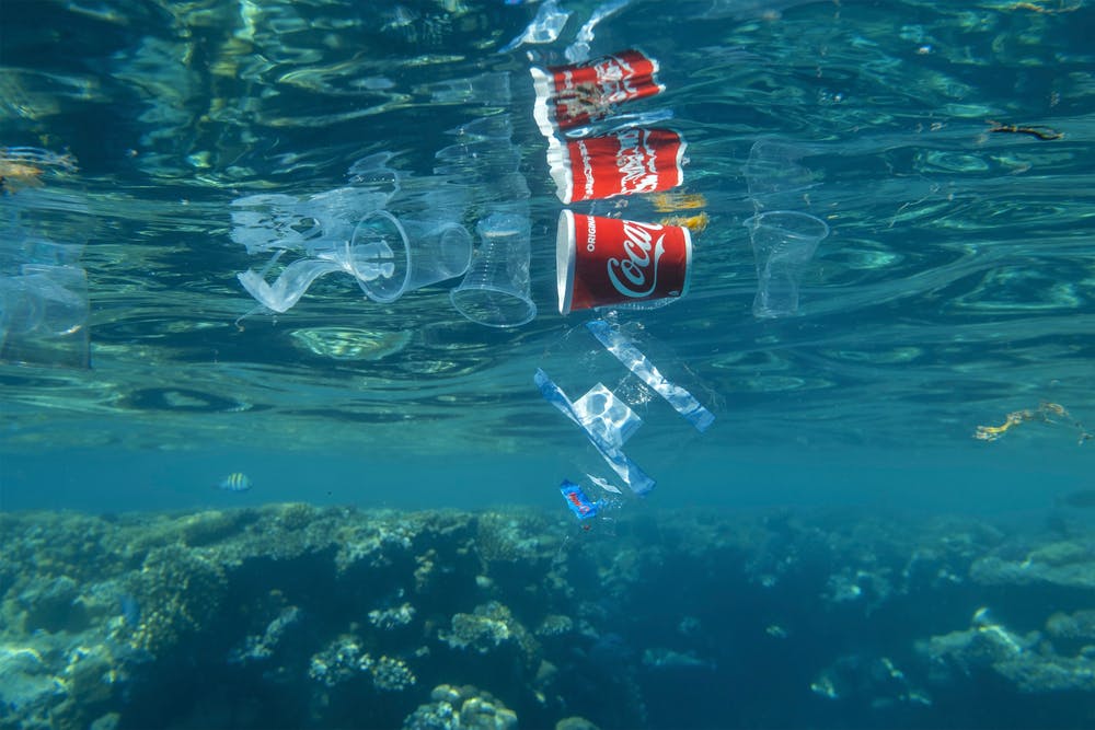 تصویری از کوکاکولا و پلاستیک های دیگر در دریای سرخ
