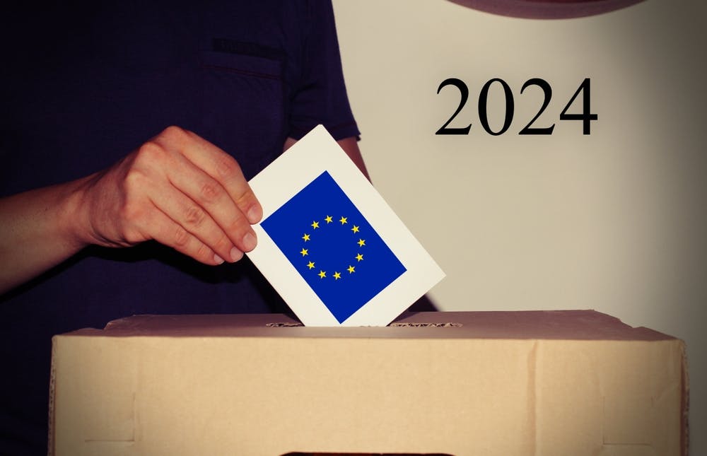 تصویری از فردی که میخواهد رای دهد در انتخابات اتحادیه اروپا