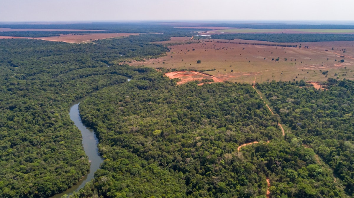 نمای هوایی از رودخانه پرپیچ و خم شاخه آمازون، جاده هایی از میان جنگل های بارانی و زمین های کشاورزی مرزی، جنگل های بارانی آمازو